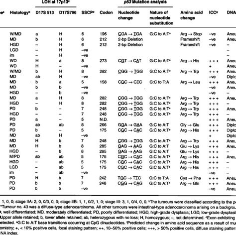 1 7p Allelic Loss P53 Gene Mutation P53 Protein Expression And Dna Download Table