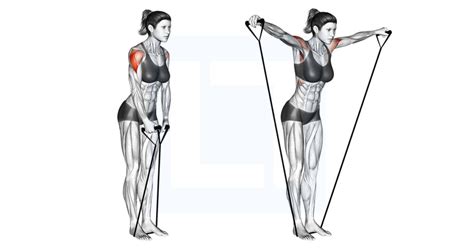 Cable Seated Rear Lateral Raise Guide Benefits And Form