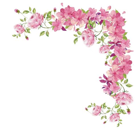 Pink Rose Flowers Border Flower Free Photo Png Transparent Hq Png