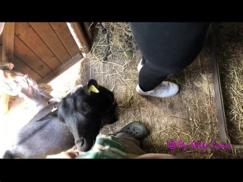 Aqui Esta Mi Gran Polla Ven Aqui Quiero Que Disfrutes Follame Y Llena Mi Boca XVIDEOS