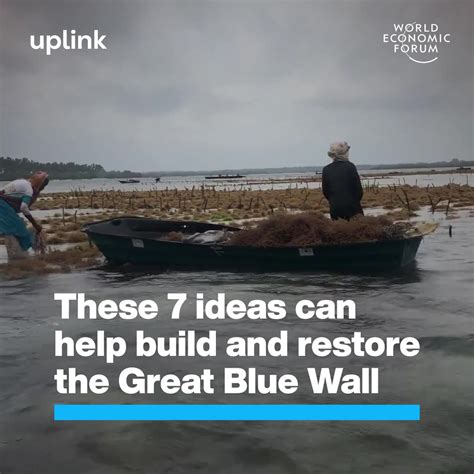 These Ideas Can Help Build And Restore The Great Blue Wall World