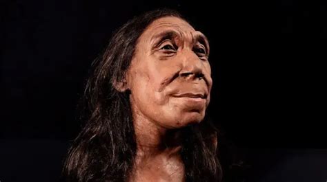 Como era o rosto de mulher neandertal que viveu há 75 mil anos BBC