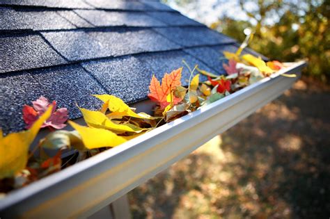 How To Keep Leaves Out Of Your Gutters Nerds Magazine