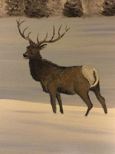 Scott's Canvas: Elk mountains oil painting