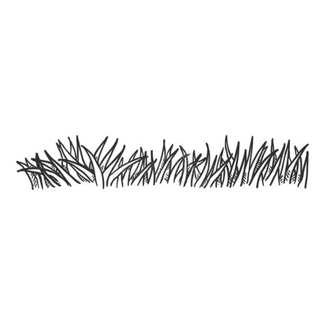 Vector Penciling Sketch Grass Stock Vector Illustration Of