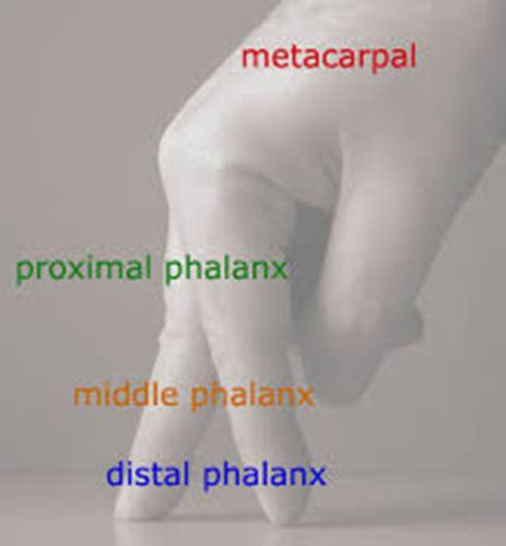 MSK Hand And Finger Disorders Flashcards Quizlet