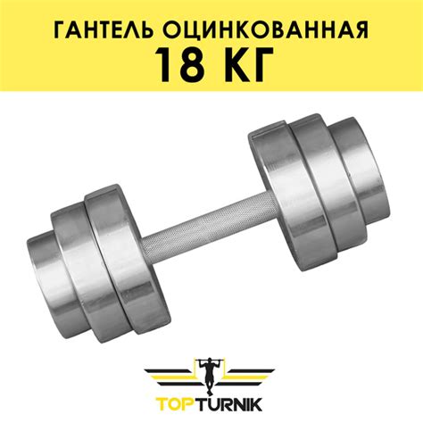Гантели Topturnik металлическая разборная (наборная) оцинкованная, 1 шт ...