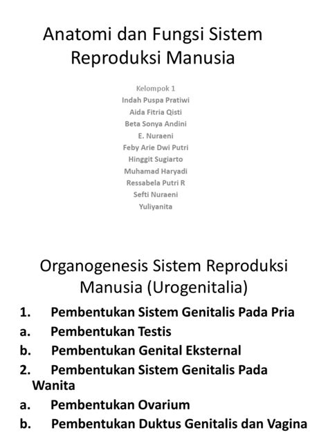 Pdf Anatomi Dan Fungsi Sistem Reproduksi Manusia Dokumen Tips