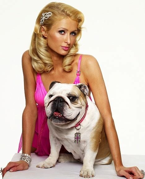 Paris' British Best Friend - Paris Hilton Photo (11528069) - Fanpop