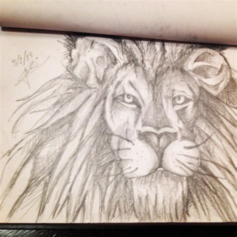 Lion pencil sketch by AnnaKontou on DeviantArt