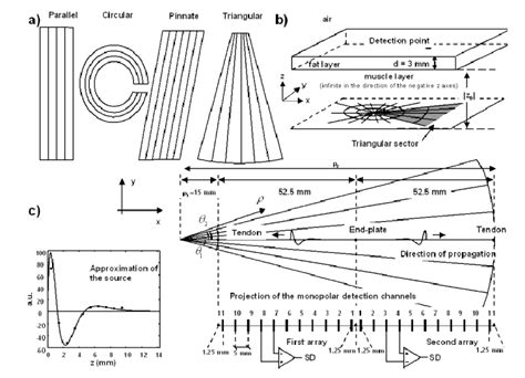 Schematic representation of the mathematical model. a) Classification ...