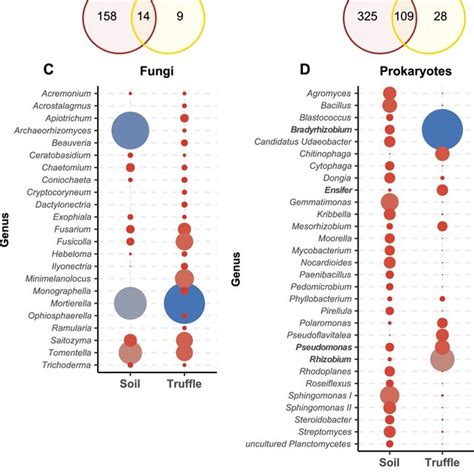 Venn Diagrams Showing Core And Unique Otus Among Soil 0 Cm And