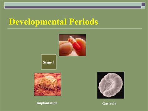 Embryology Ppt