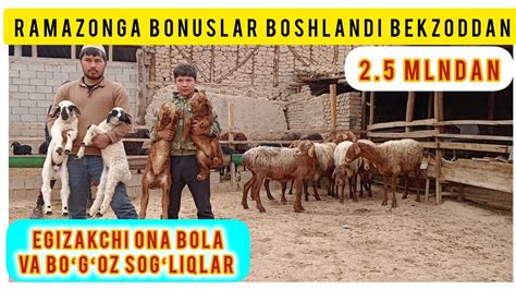 NARXLAR SINDI BONUSLAR MAVSUMI BOSHLANDI BEKZODDAN - YouTube