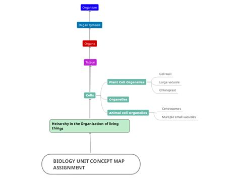 Biology Unit Concept Map Assignment Mind Map