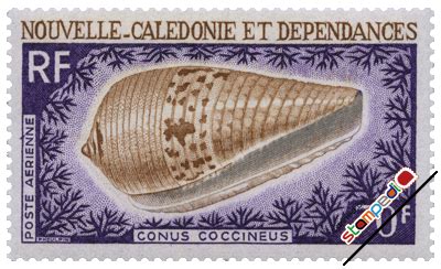 NEW CALEDONIA 1968 70 Franc Air Mail Stamps Conus Geographus