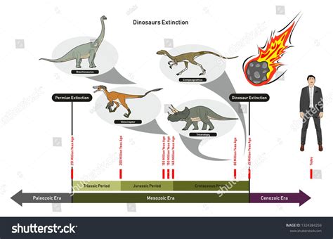 Dinosaurs Extinction Infographic Diagram Showing Paleozoic Mesozoic