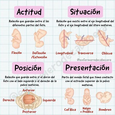 enfermerodecabecera on Instagram Estática Fetal En obstetricia