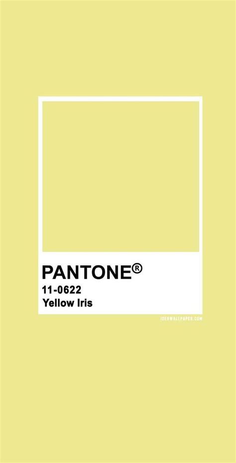 100 Pantone Color Palettes Pantone Yellow Iris 11 0622 Pantone Color Yellowiris Yellow