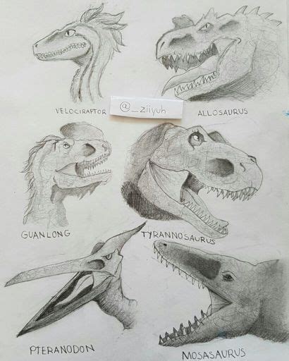 My Carnivorous Dinosaurreptile Sketches Prehistoric Amino Amino