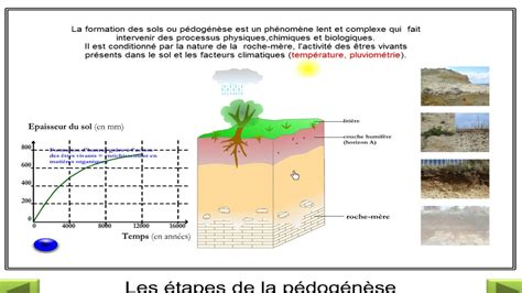 la pédogenèse étapes de formation du sol YouTube