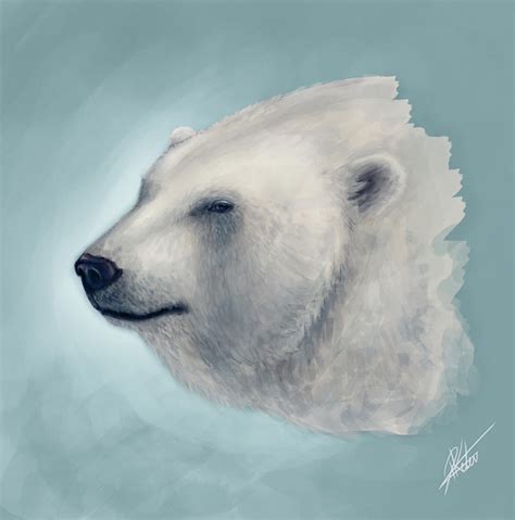 Polar Bear Sketch by ARTdesk on DeviantArt