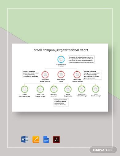 Company Organizational Chart - 17+ Examples, Format, Pdf