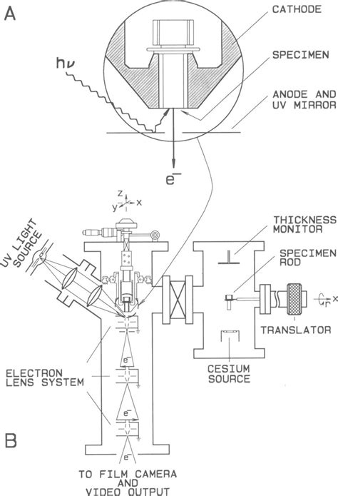 (A) The photoemission process, as it occurs in a photo | Download ...