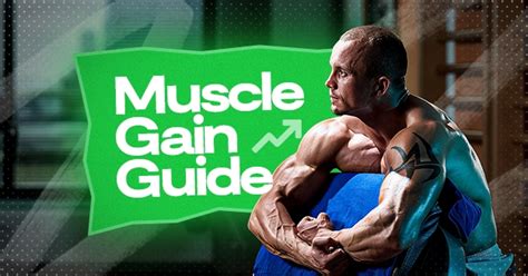 A Guide to Effective Muscle Gain Exercises - Trainest