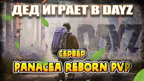 Panacea Dayz Reborn X Pvp Dayz