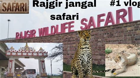 Rajgir Jangal Safari My First Vlog Rajgir Glass Bridge