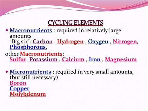 Biogeochemical cycle | PPT