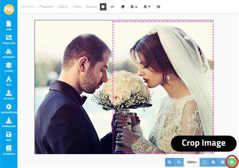 Free Photo Editing Online Mockofun