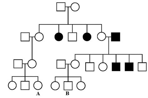 Solved Given the pedigree below for a rare autosomal trait, | Chegg.com