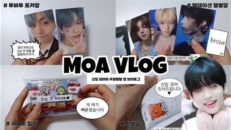 Moa Vlog ₍ᐢˬᐢ₎ 신입 모아의 우당탕탕 깡 브이로그 보러 오실래요 모아로그 모아 브이로그 브이로그