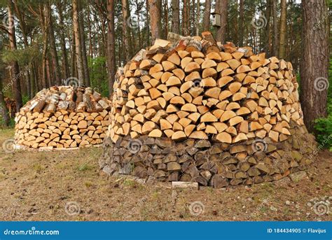 Piles De Bois De Chauffage Dans La For T Image Stock Image Du Normal