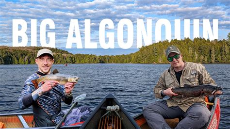 Algonquin Park Canoe Camping Fishing Brook Trout Ft Joe Robinet