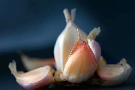 Pommes De Terre Bananaes Ou Eau De Riz Quels Engrais Naturels Pour