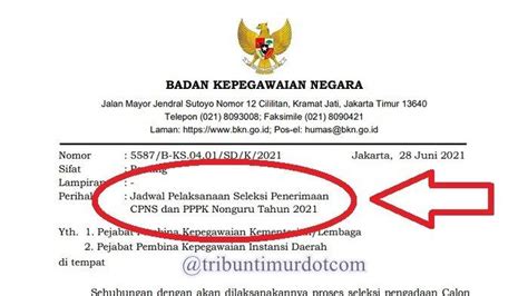 Resmi Pendaftaran Cpns Dan Pppk Dibuka Besok Juni Cek