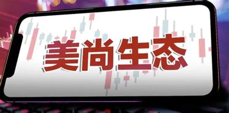 St美尚：实控人仍在境内，否认造假移民传闻新闻频道中华网