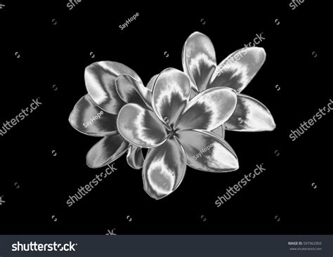 255,296 Silver flowers Images, Stock Photos & Vectors | Shutterstock