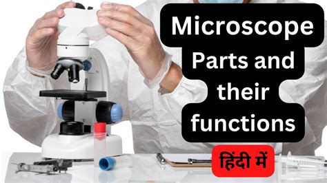 Microscope Parts Of The Microscope And Their Function Compound