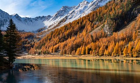 Top 10 des plus beaux lacs des Alpes Chéri fais tes valises