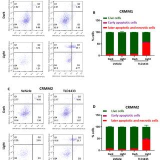 Green Light Irradiation Of TLD1433 Induces Apoptosis And Necrosis In