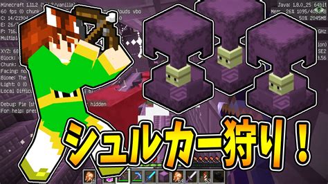 【ぽこくら178】エンドシティでシュルカー狩り！大量のシュルカーの殻とお宝をゲット♪【マインクラフト】ゆっくり実況プレイ Youtube