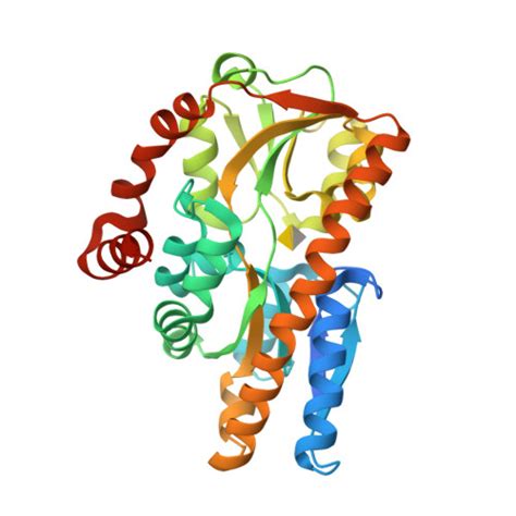 RCSB PDB 4N8Y Crystal Structure Of A Trap Periplasmic Solute Binding