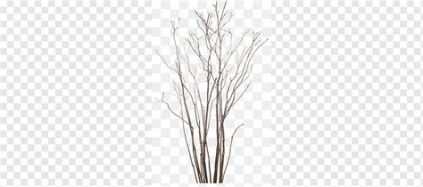 Dry Branches Branches Shriveled Desolate Png Pngwing