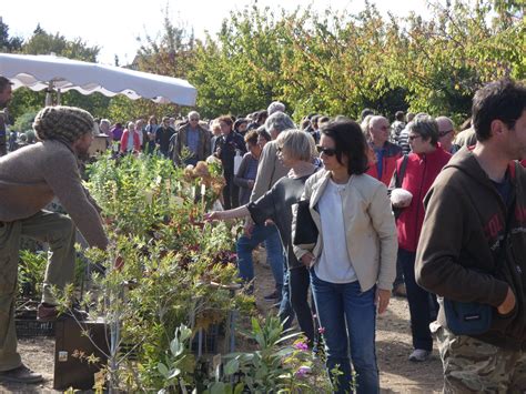 Mirmande Belle Affluence Pour La 23e Foire Aux Plantes Et Du Jardin