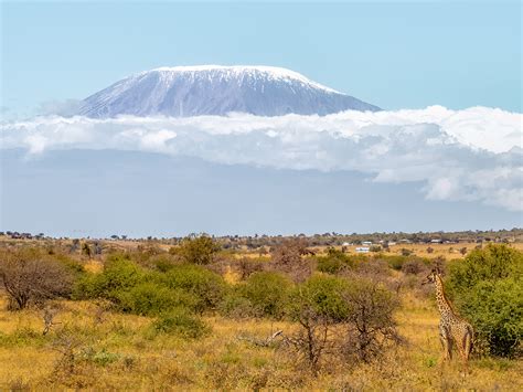 Stunning Views On The Mount Kilimanjaro Shira Route