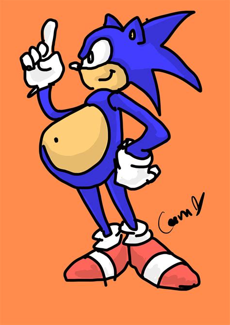 Sonic Pregnant by icandrawtopotato on DeviantArt